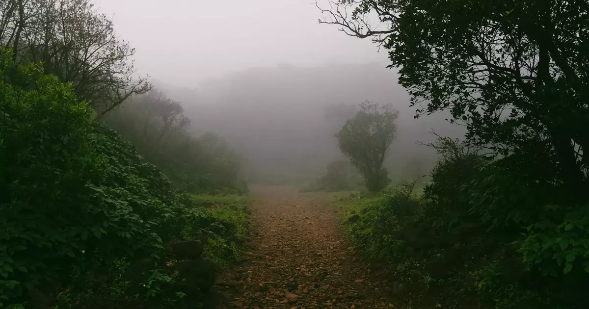 Monsoon Treks in Maharashtra